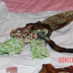 Dee Dee Blanchard crime scene photo