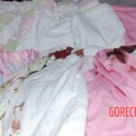 Dee Dee Blanchard crime scene photo