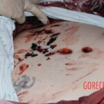 Dee Dee Blanchard crime scene photo