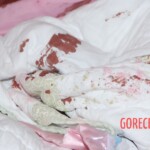 Dee Dee Blanchard crime scene photo