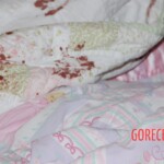 Dee Dee Blanchard crime scene photo