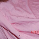 Dee Dee Blanchard crime scene photo