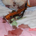 Dee Dee Blanchard crime scene photo