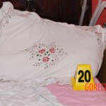 Dee Dee Blanchard crime scene photo