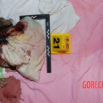 Dee Dee Blanchard crime scene photo