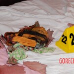 Dee Dee Blanchard crime scene photo