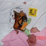 Dee Dee Blanchard crime scene photo