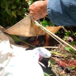 Jose Vicente Aguilar