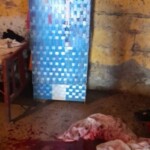 Jose Vicente Aguilar