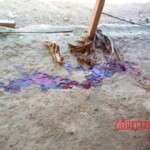 Jose Vicente Aguilar