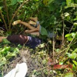 Jose Vicente Aguilar