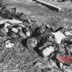 The Volhynia Massacre