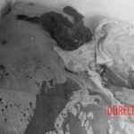 The Volhynia Massacre