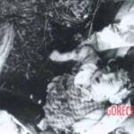 The Volhynia Massacre