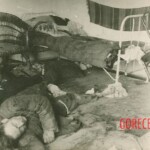 The Volhynia Massacre