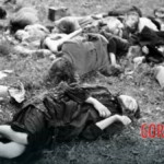 The Volhynia Massacre