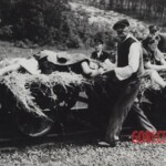 The Volhynia Massacre