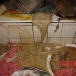 Bathtub suicide girl