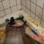 Bathtub suicide girl