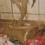 Bathtub suicide girl