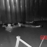 Woman shot dead in Manila