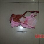 Examination and autopsy of Chinese woman stabbed to death