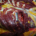 Examination and autopsy of Chinese woman stabbed to death