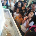 Mharlynne Prado Iglesias