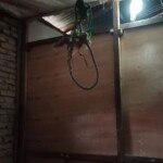 Indonesian teen girl commited suicide by hanging