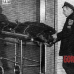 Dead body of John Lennon