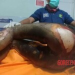 Young Indonesian woman raped, murdered and burned