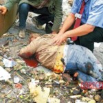 Oslo bombing Breivik