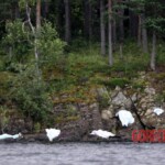 Utøya attack Breivik
