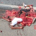 Brazilian run over by trailer