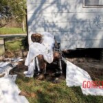 Deadly aftermath of Hurricane Katrina