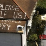 Deadly aftermath of Hurricane Katrina