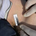 Drowned Chinese woman