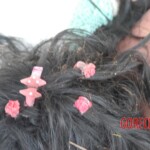 Examination of dead Chinese woman