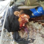 Executed ISIS member