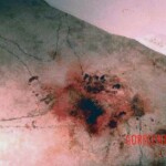 Murder of Angela Denise Crockett