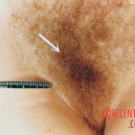 Murder of Angela Denise Crockett