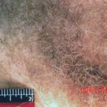 Murder of Angela Denise Crockett