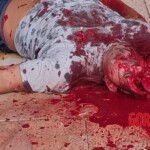 Security guard murdered by four hit men