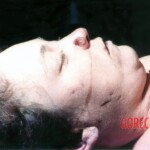 Catherine A. DiMauro