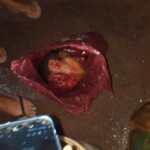 Young gangster gets beheaded by Comando Vermelho