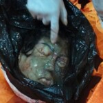 Beheaded woman found floating in sack