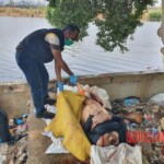 Beheaded woman found floating in sack
