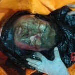 Beheaded woman found floating in sack