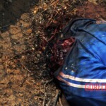 José Gregorio Pacheco Ríos