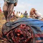 José Gregorio Pacheco Ríos